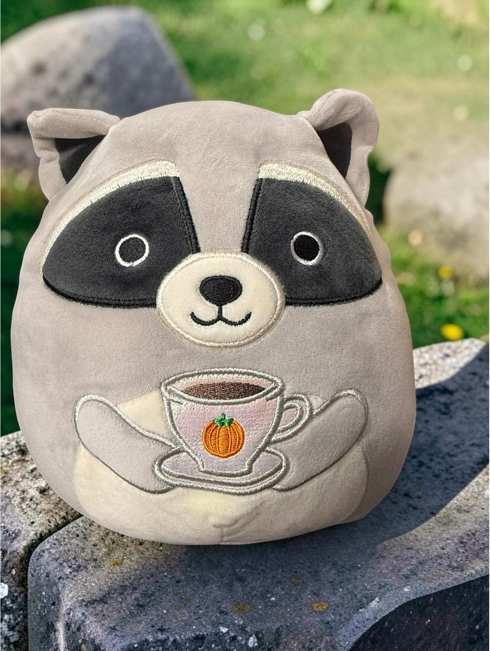 Squishmallows Rocky Raccoon with Pumpkin Tea Plush
